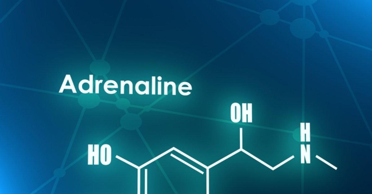 Adrenalin Hormonu Y Ksekli I Belirtileri Nelerdir Adrenalin Hormonu