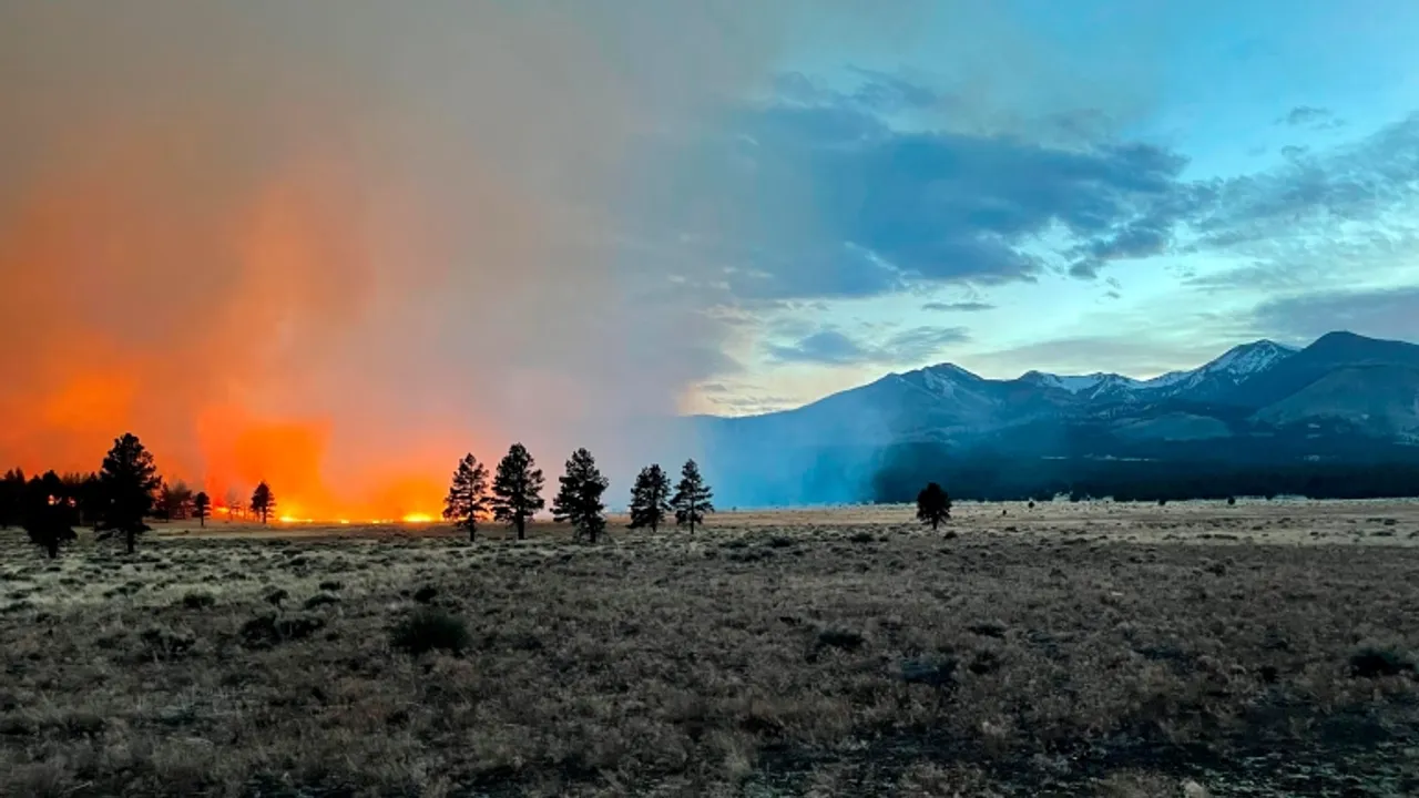 Arizona Yangını Binlerce Kişiyi Kaçmaya Zorluyor