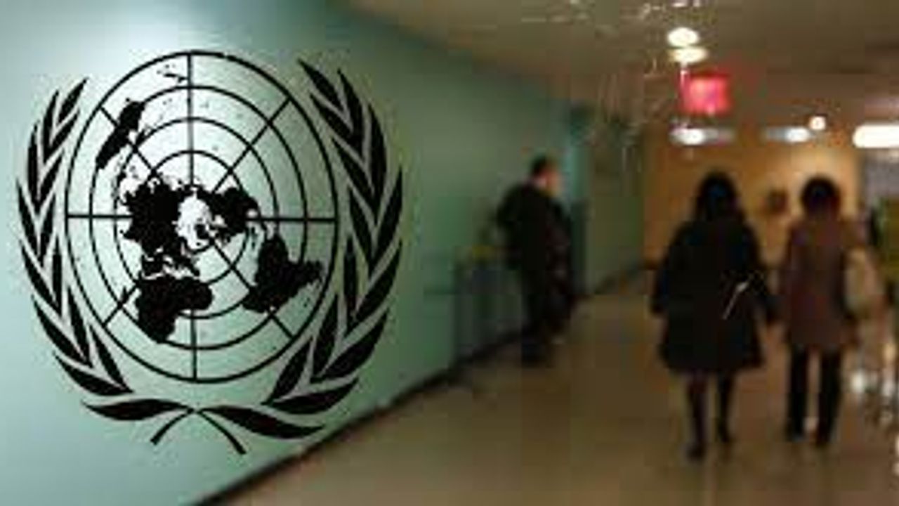 BM, Türkiye'nin Afganistan'a Kurtarma Ekipleri Göndermenin Muhtemelen En İyisi Olduğunu Söyledi
