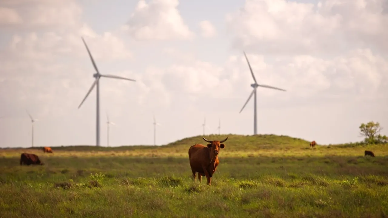 Teksas Rüzgar Enerjisi, Sıcaklıklardan Dolayı Beklentinin Altında Çalışıyor