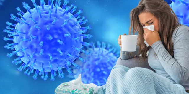 Grip Nasıl Geçer, Gribe Ne İyi Gelir, Bitkisel Çözüm Yöntemleri Nelerdir?