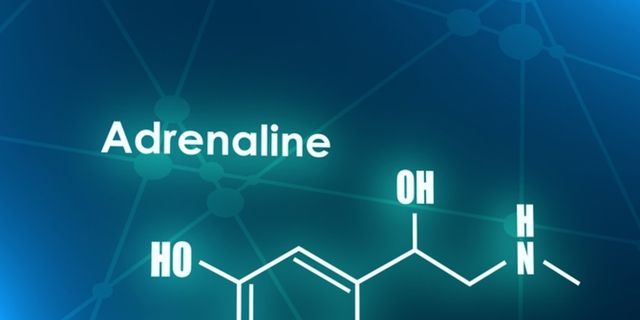 Adrenalin Hormonu Yüksekliği Belirtileri Nelerdir, Adrenalin Hormonu Nasıl Düşürülür?
