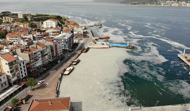 Akademisyenlerle Müsilaj Toplantısı Yapıldı! Rapor Erdoğan'a Sunuldu