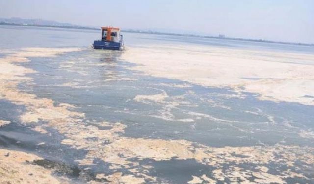 Marmara Denizi’ndeki Müsilaja Sebep Olan Şey Bulundu