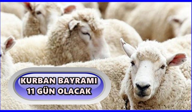 Kurban Bayramı tatili 11 gün olur mu? Bayram tatili 15 Temmuz'la birleştirilecek mi?