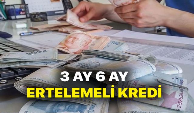 Pazartesi İtibariyle Başvuru Yapabilirsiniz, 3 Ay, 6 Ay Ertelemeli 15 bin TL Destek Kredisi Verilecek