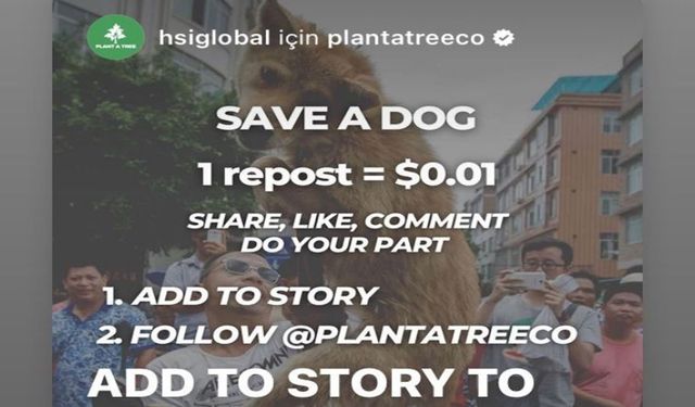 İnstagram'da Save A Dog gönderi ne? Yulin Festivali nedir?