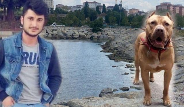 28 Yaşındaki Oğuzhan'ı Denizde Pitbull Saldırıp Öldürdü İddiası!