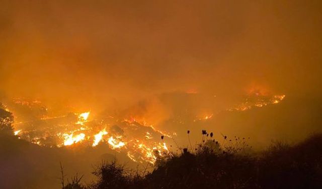 Costa del Sol'daki Büyük Yangından Binlerce Kişi Kaçtı