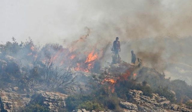 Suriye, Orman Yangınlarını Başlatan 24 Kişiyi İdam Ettiğini Söyledi