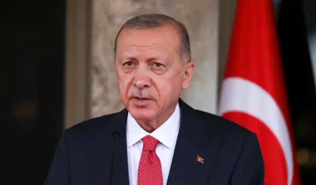 Erdoğan Medyayı 'Zararlı İçerik' Yayınlamaya Karşı Uyardı