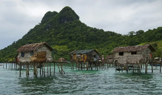 Borneo'nun 80 milyar Dolarlık Karbon Anlaşması Tartışmaları Alevliyor