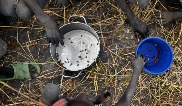 Güney Sudan'da 7,7 Milyondan Fazla Kişi Gıda Kriziyle Karşı Karşıya