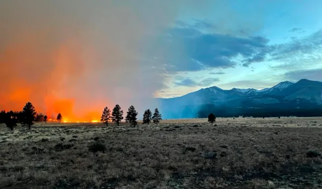 Arizona Yangını Binlerce Kişiyi Kaçmaya Zorluyor