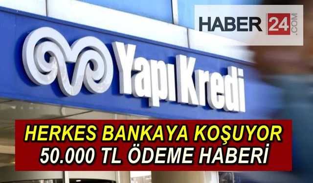 Buraya Dikkat! Gelir Belgesiz Olarak TC Kimlik Numarası İle Başvuru: O Bankadan Anında 50.000 TL Ödeme Haberi Geldi