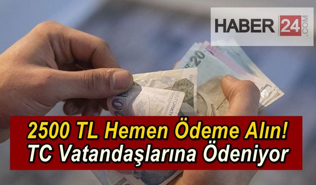 TC Vatandaşları Başvuru Yaparak 2500 TL Hesaplarına Atabiliyor, 18 Yaş Üzerinde Olmak Yeterli Olacak