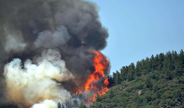 Marmaris'te Orman Yangını Büyüyor! 21 Haziran Marmaris Yangını