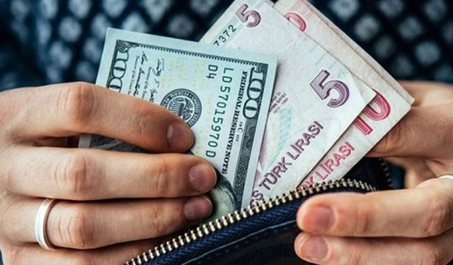 Dolar Yatırımcılarına Bir Uyarıda Ekonomist Evren Devrim Zelyurt’dan Geldi: Dolar 24 TL Olabilir