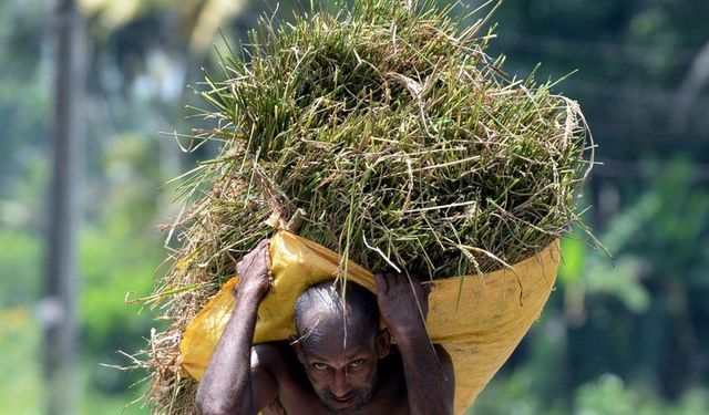 Sri Lanka: Ülke Neden Ekonomik Krizde?