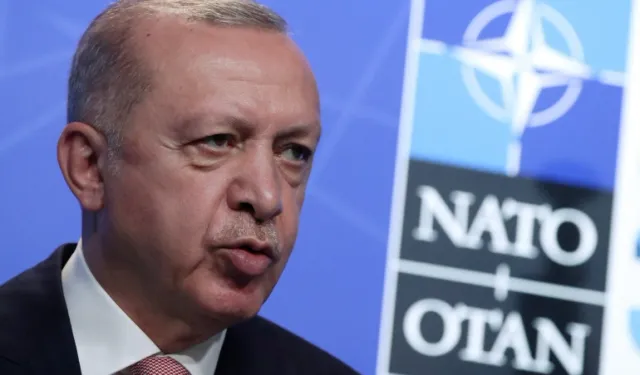 İskandinav Anlaşması Türkiye'nin NATO'daki Gücünü Artırıyor, Ancak İleride Tuzaklar Var