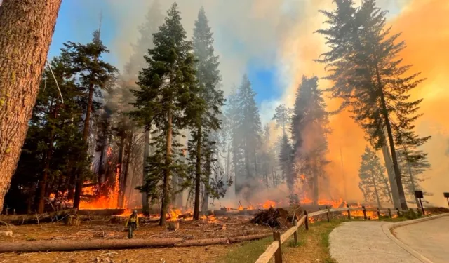 Yangın, California'nın Yosemite Ulusal Parkı'na Yaklaşıyor