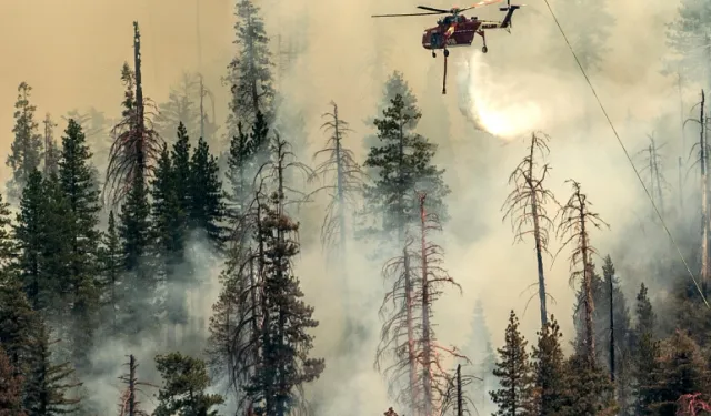 Yosemite Ulusal Parkı Yangını Büyüyor