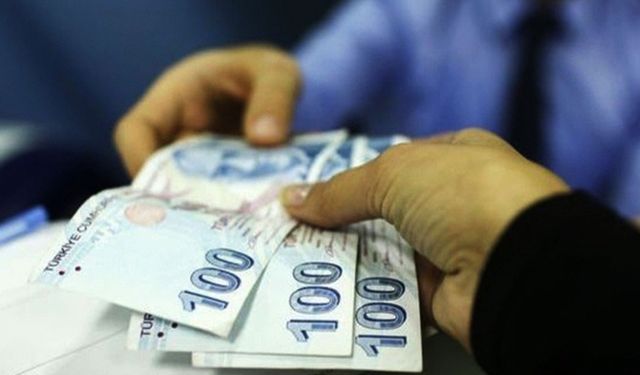 E-Devlet’ten Başvuru Yapan Vatandaşlara Aylık 2088 Türk Lirası Destek Verilecek