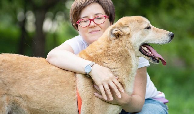 Köpekler Nasıl Eğitilir, Nasıl Beslenir, Dikkat Edilmesi Gerekenler Nelerdir?