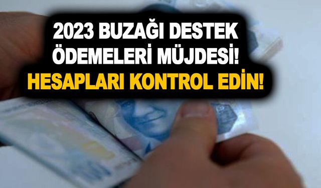 2023 buzağı destek ödemeleri müjdesi! Hesapları kontrol edin! T.C kimlik no ile paranızı sorgulayın!