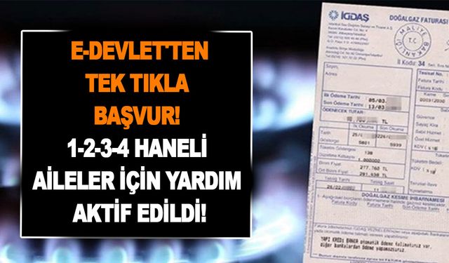 85 milyondan isteyen e-Devlet'ten tek tıkla başvuracak! 1-2-3-4 haneli aileler için yardım aktif edildi!