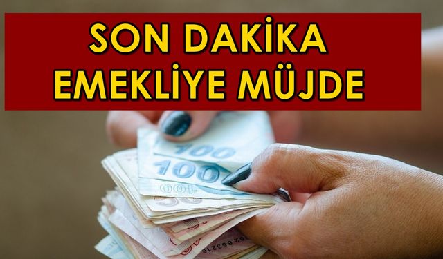 Emekliye müjde var! Emekli maaşı alanlar Kasım Ayı sonuna kadar ödemeler alabilecek! Para istediğiniz zaman hesaplarda