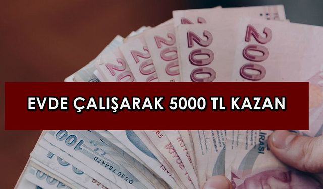 Evden çalışarak güle oynaya ayda 5.000 TL kazanabilirsiniz! İşte evden yapılabilecek o iş