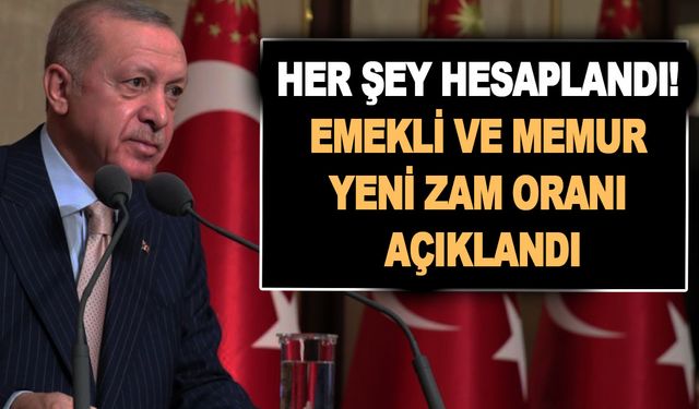 Her şey hesaplandı! Artık kafalar net! İlave tediyeler o tarihte yatacak! Emekli ve memur yeni zam oranı açıklandı