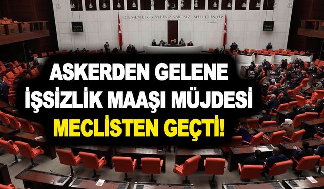 İş bulamayana 180 gün maaş ödenecek! Askerden gelene işsizlik maaşı müjdesi Meclisten geçti!