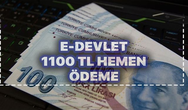 Müjde az önce geldi! E-devlet’ten yeni 1100 TL yardım başvurusu başladı! Vatandaş akın etti!