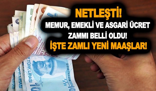 NETLEŞTİ! Memur, emekli ve asgari ücret zammı belli oldu! İşte zamlı yeni maaşlar