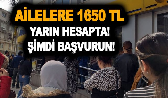 PTT az önce açıkladı! Hafta sonu bombası geldi! Ailelere 1650 TL yarın hesapta! Şimdi başvurun!