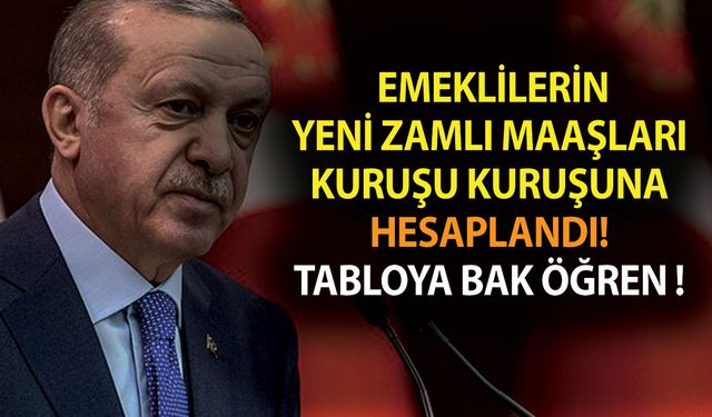 SSK-SGK ve Bağkur'lu emeklilerin yeni zamlı maaşları kuruşu kuruşuna hesaplandı! Tabloya bak öğren