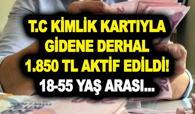 T.C Kimlik Kartı ile gidene derhal 1.850 TL aktif edildi! 18-55 yaş arası için paralar hesaba yatırıldı!