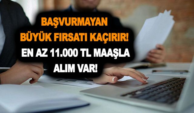 18-45 yaş arası memur alımı başladı! Başvurmayan büyük patlar! En az 11.000 TL maaşla alım var! 