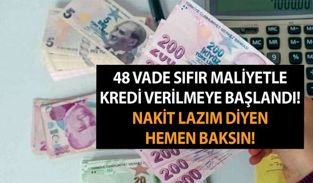 48 vade sıfır maliyetle kredi verilmeye başlandı! Nakit lazım diyen hemen baksın