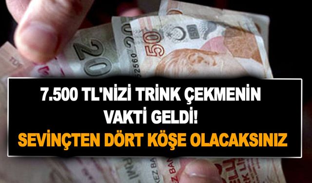 7.500 TL'nizi trink çekmenin vakti geldi! 0.98 ucuz faiz farkıyla sevinçten dört köşe olacaksınız!