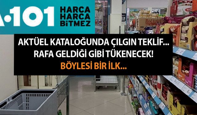 A101 24 Aralık aktüel kataloğunda çılgın teklif... Rafa geldiği gibi gibi tükenecek! Böylesi bir ilk...