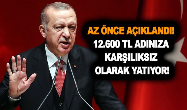 Az önce açıklandı! 12.600 TL adınıza karşılıksız olarak yatıyor! Başvuruları e-devlet'ten yapılıyor