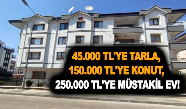 Bankalardan kelepir gayrimenkuller! 45.000 TL'ye tarla, 150.000 TL'ye konut, 250.000 TL'ye müstakil ev!