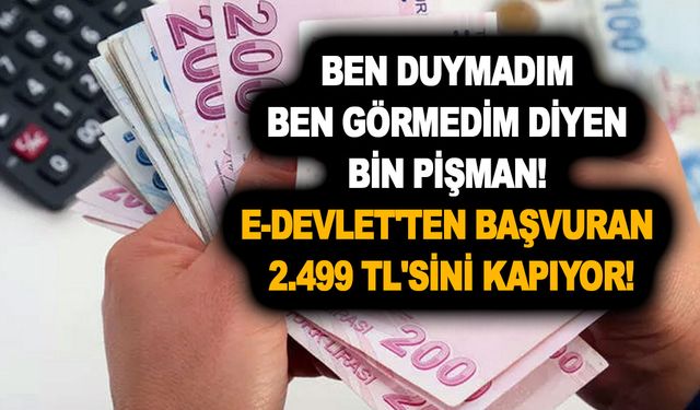 Ben duymadım ben görmedim diyen bin pişman! e-Devlet'ten başvuran 2.499 TL'sini kapıyor!