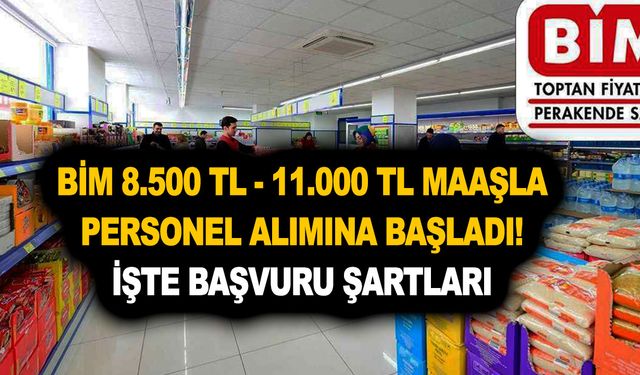 BİM market 8.500 TL ile 11.000 TL maaş ile personel alımı yapıyor! İşte kadrolar ve başvuru şartları