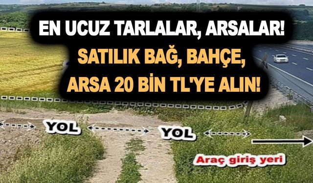 Devlet bankaları yapılmayanı yaptı! En ucuz tarlalar, arsalar! Satılık bağ, bahçe, arsa 20 bin TL'ye alın!