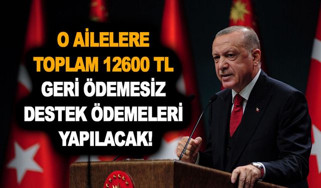 Devlet destekleri devam ediyor! O ailelere toplam 12600 TL geri ödemesiz destek ödemeleri yapılacak