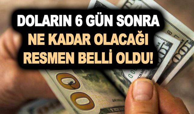 Doların 6 gün sonra ne kadar olacağı resmen belli oldu! Elinde dolar olanlara kırmızı alarm verildi